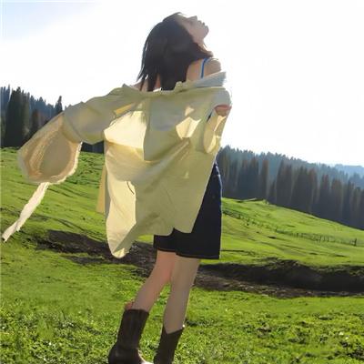 龟甲秘事之拨云见日